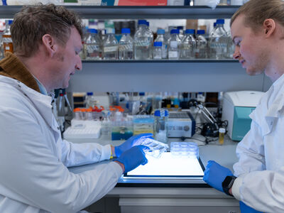 A student and supervisor, wearing lab coats, looking at samples on a light box