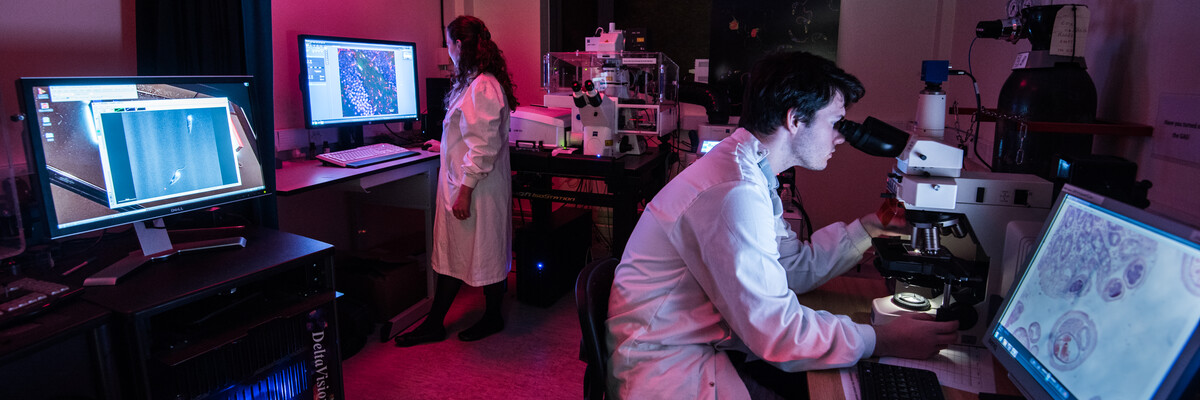 A close up of a microscope in a laboratory.