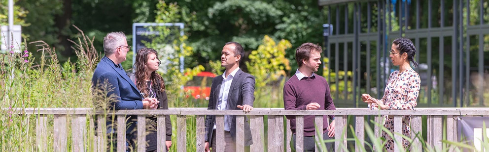 Data immersion suite