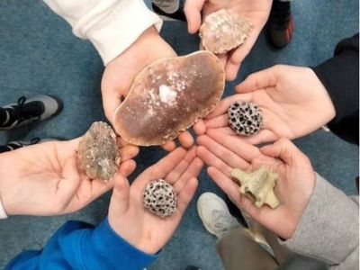 hands hold items found in the bay including a crab shell and rocks