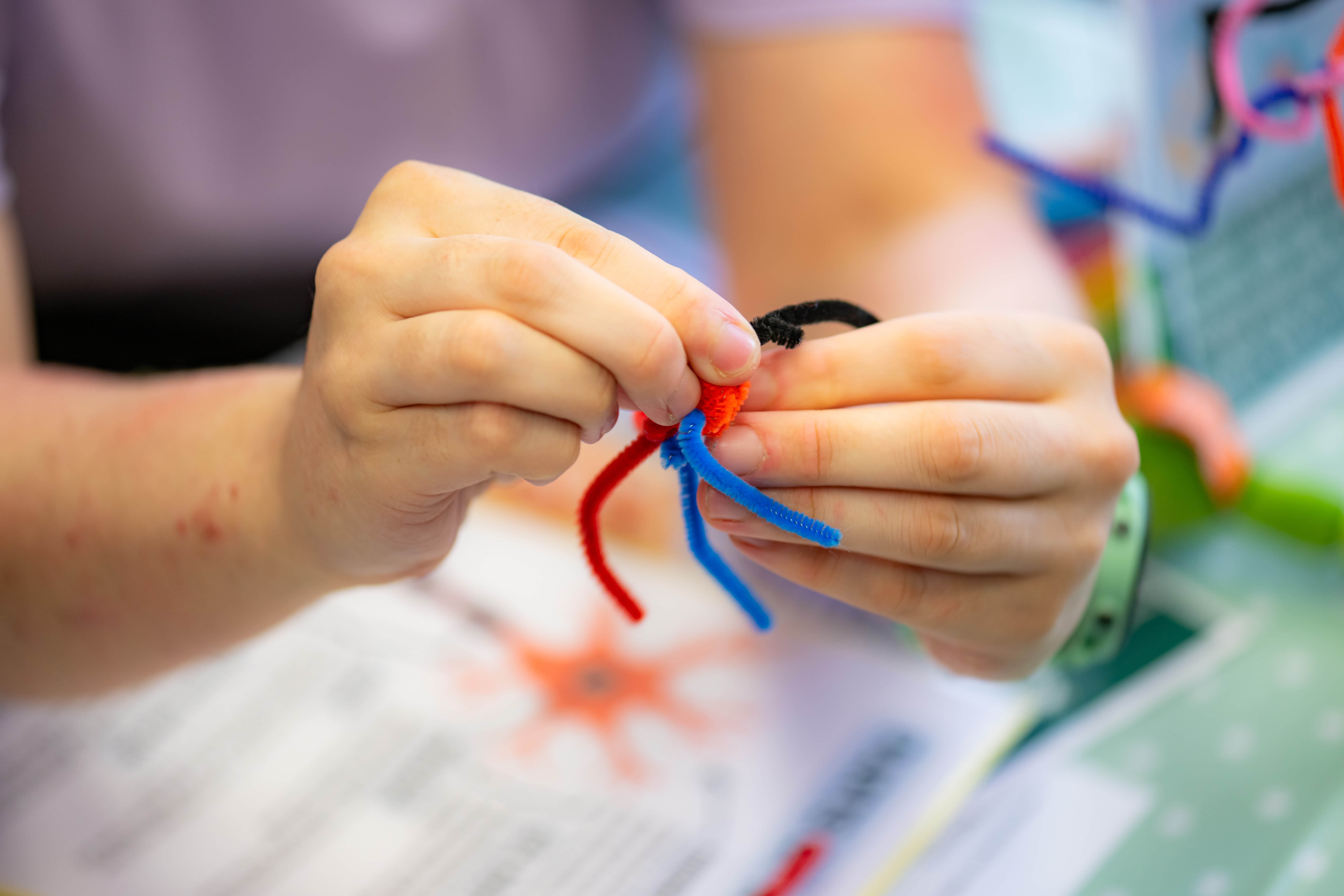 some hands hold mulitcoloured pipecleaners looking like a spider