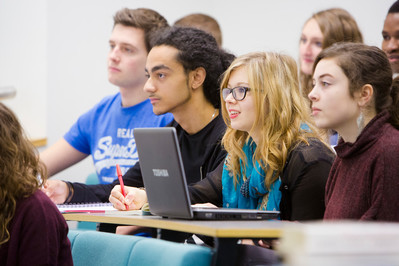 Career Insight Programme