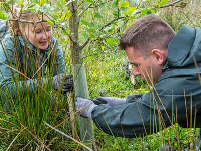 Two people carrying out conservation work in tall grass, planting or securing a young tree outdoors.