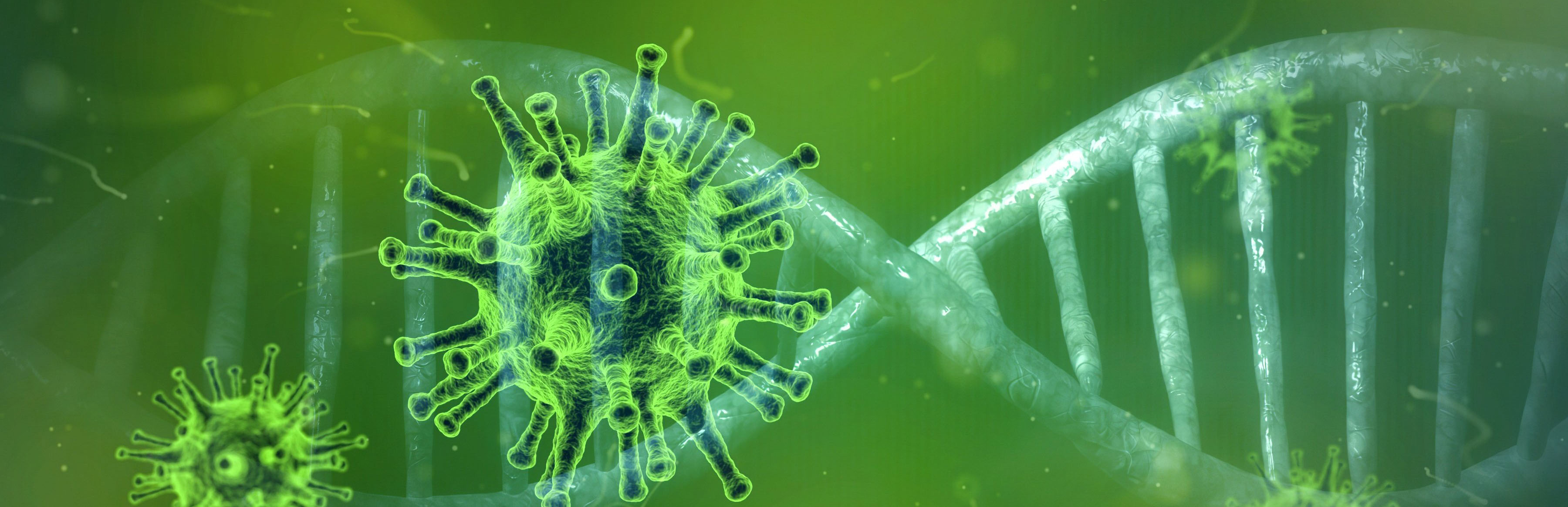 Covid-19 virus image