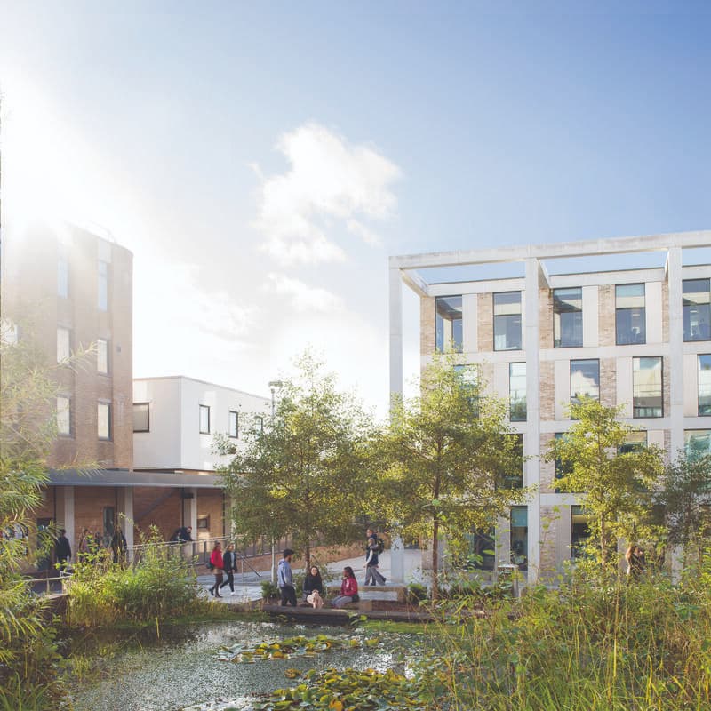 A sunny campus courtyard with modern buildings, trees and planting around a small pond