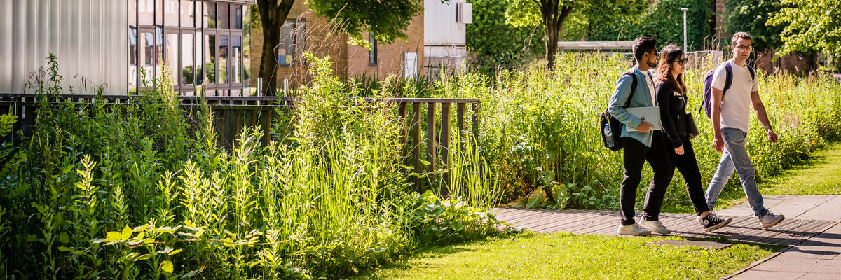 Students surrounded by green grass, reeds and trees walk past Lake Carter on Lancaster campus.