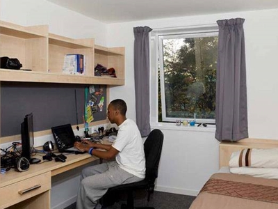 A student working at their desk with a laptop 