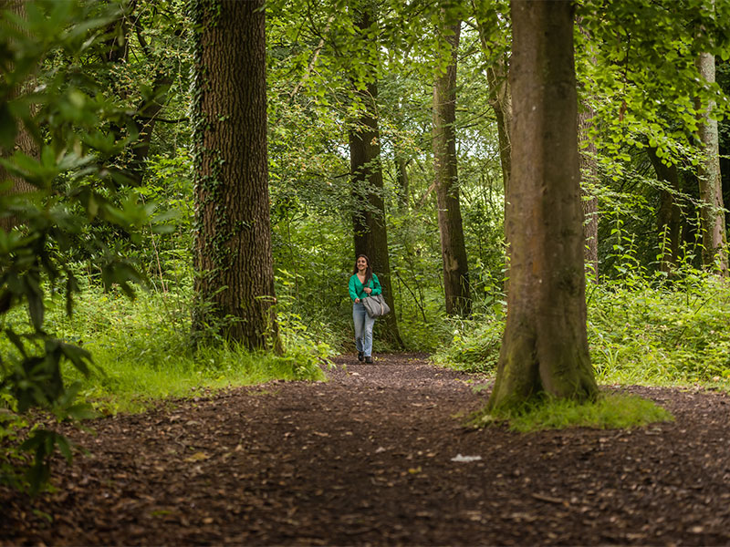 A student walking through the greenery and trees on the woodland walk on campus.