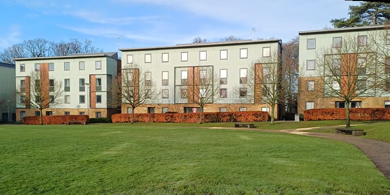 Lancaster University on-campus accommodation, with a path surrounded by trees and greenery in the foreground.