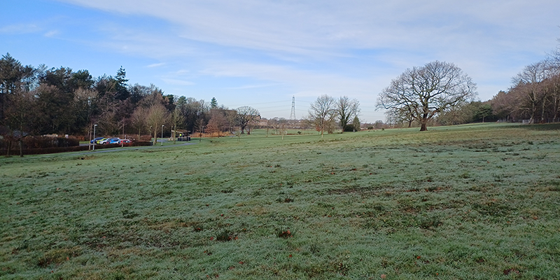 A view of the scenic path towards Lake Carter and the Health Innovation Campus, surrounded by trees and green fields.
