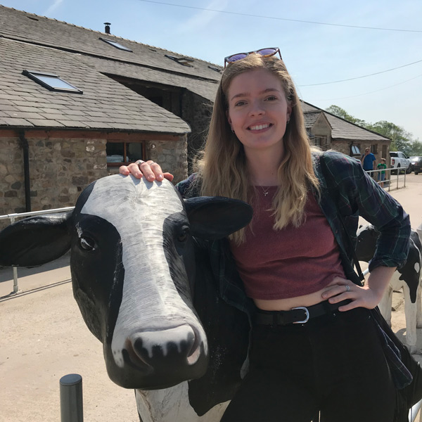 Ice cream at Wallings