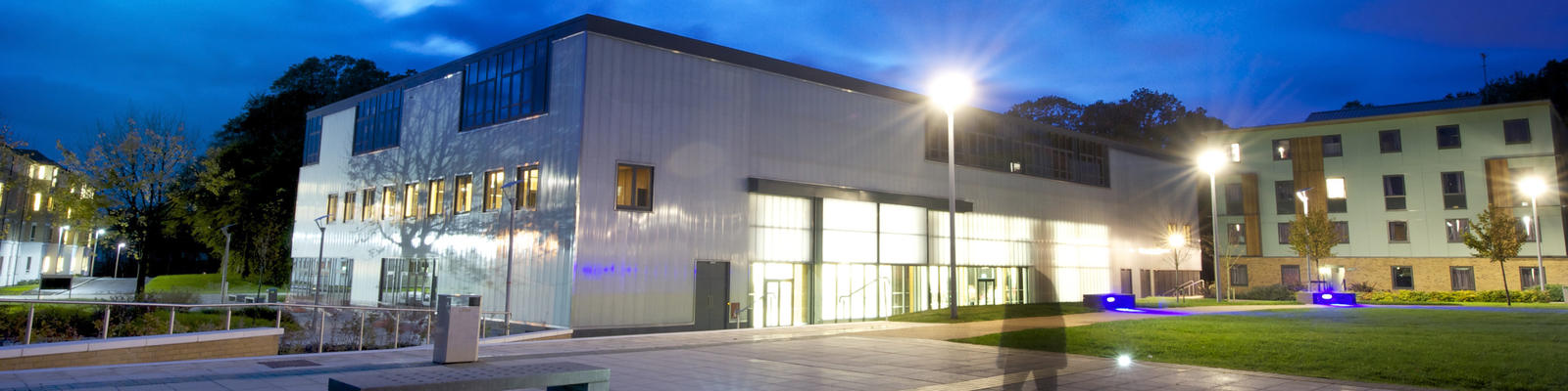 Faculty Networks Header Image