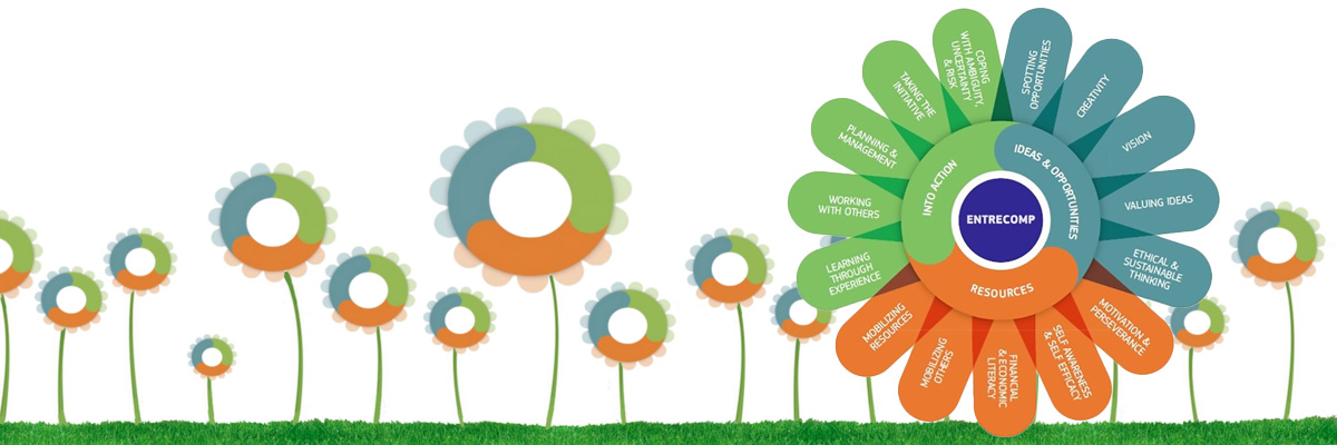 EntreComp flower diagramme