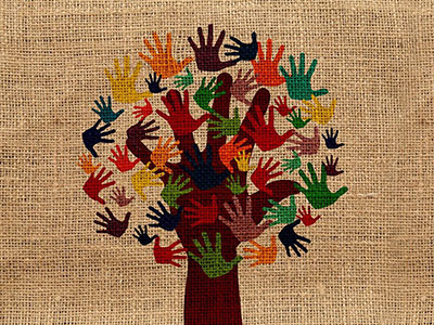 Where to get support