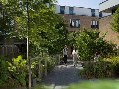 Two students walking along a path in a green area of campus