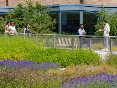 Purple flowers with students in the background