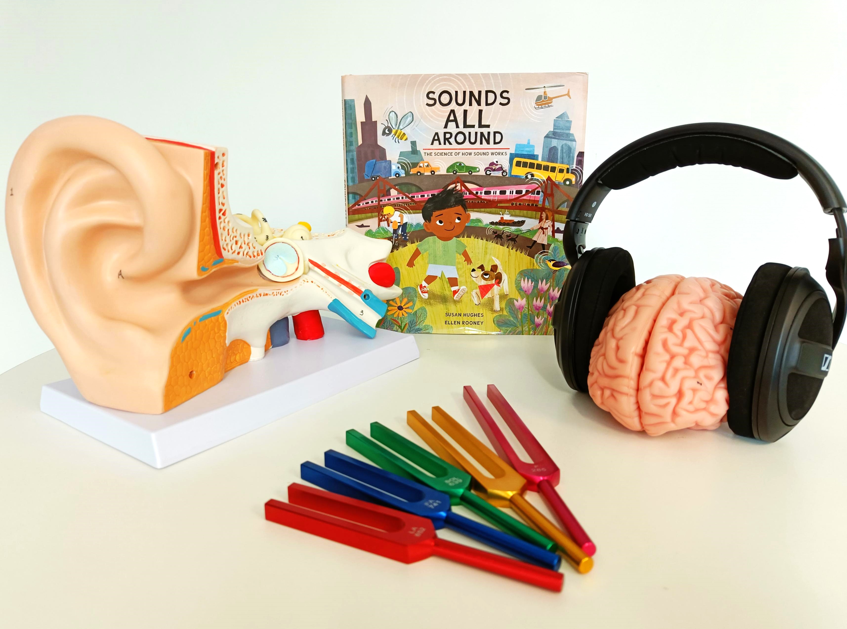 a large model of an ear and a model of a brain wearing headphones