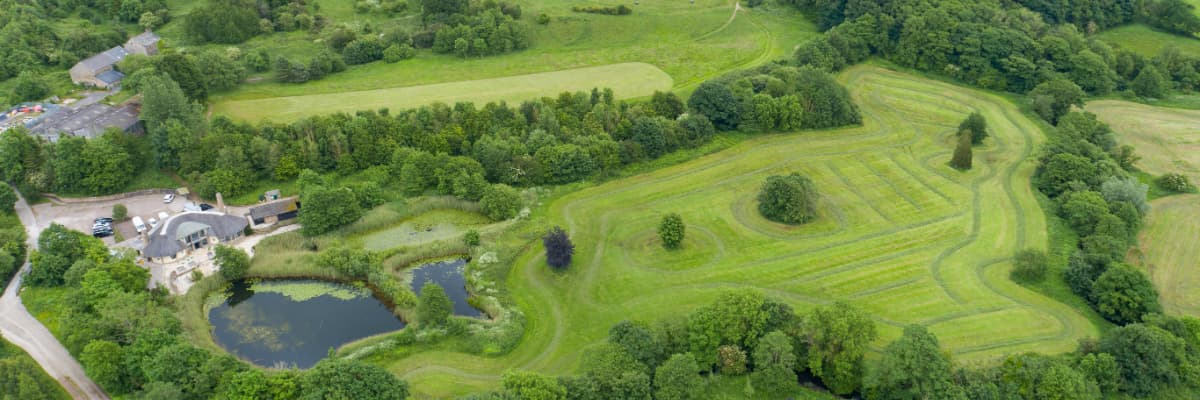 Forrest Hills Drone View
