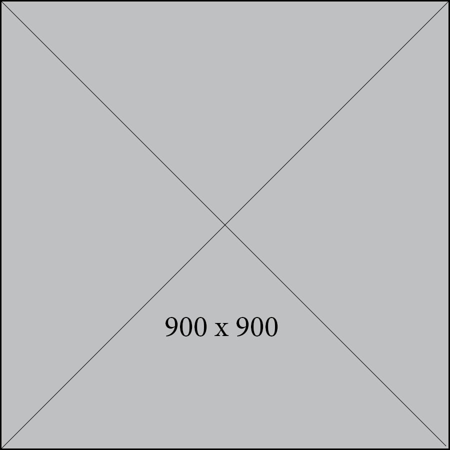 Alt text for image here