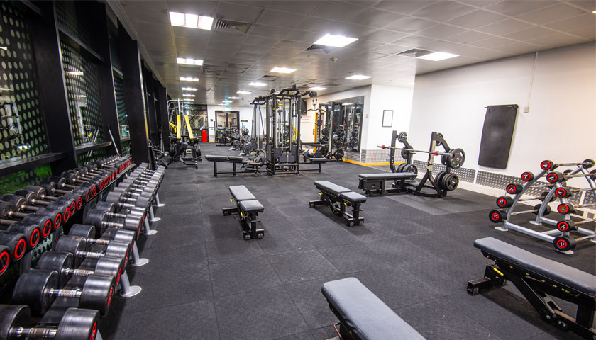 Free Weights Fitness Suite