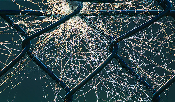 A wire fence, with further meshes/fences in the background.