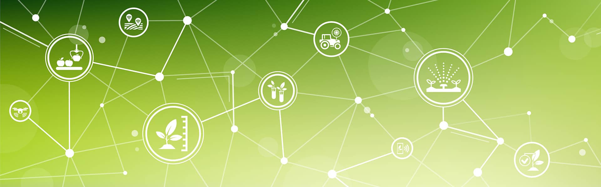 A collection of ecological graphic icons