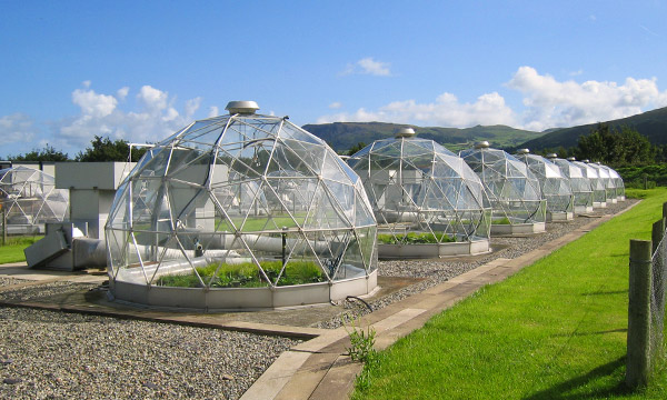 Biodomes at the Bangor site