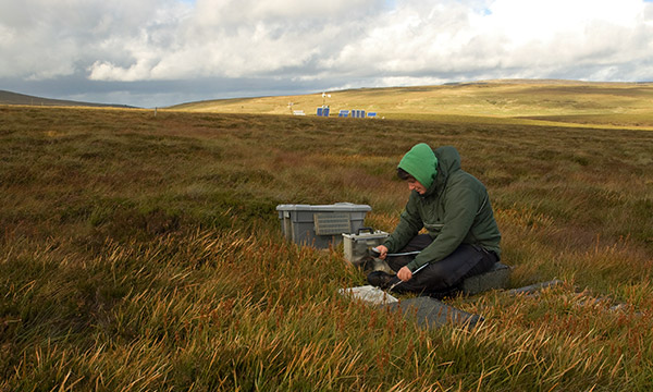 A student takes measurements on a moor