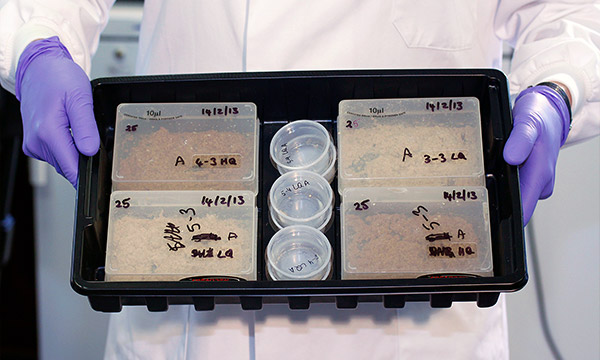 A person holds a tray of samples