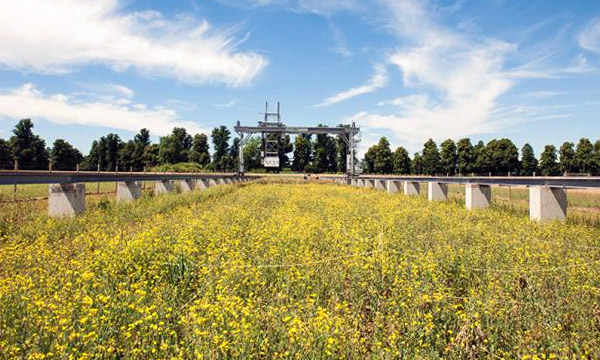 A photo of the Rothamsted field scanalyzer