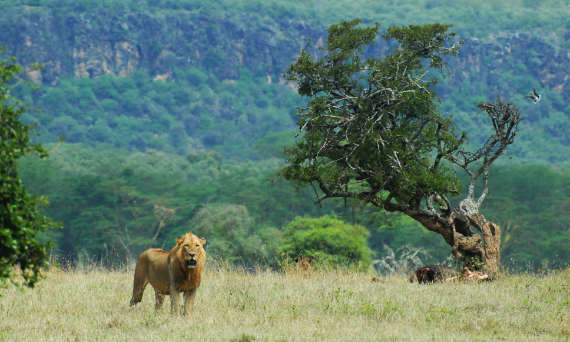 A photo from the Kenyan Rift Valley where our Biology students can go on a fieldwork trip