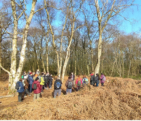 Students on a field trip Surrounded by a forest