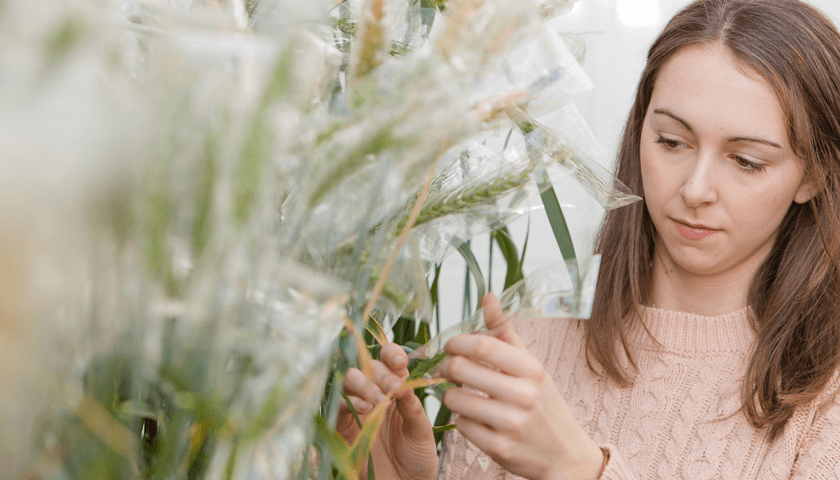 A student examining plants