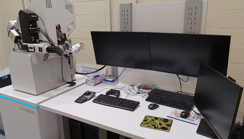  Field Emission Gun Scanning Electron Microscope (FEG-SEM)