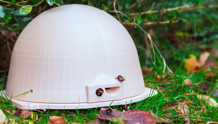 A bumblebee flies outside a BeeBox