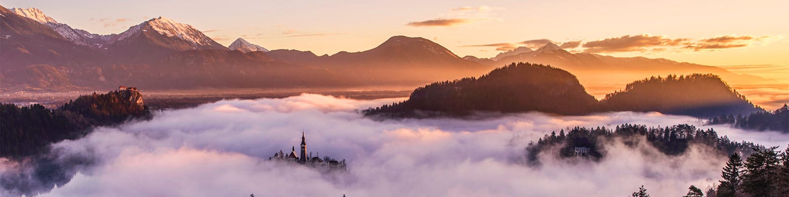 Mountains overlooking a forest