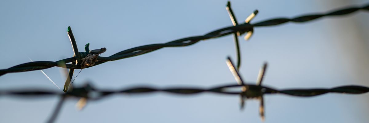 Barbed wire