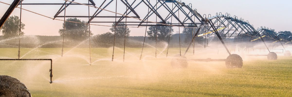 Tractors watering some crops