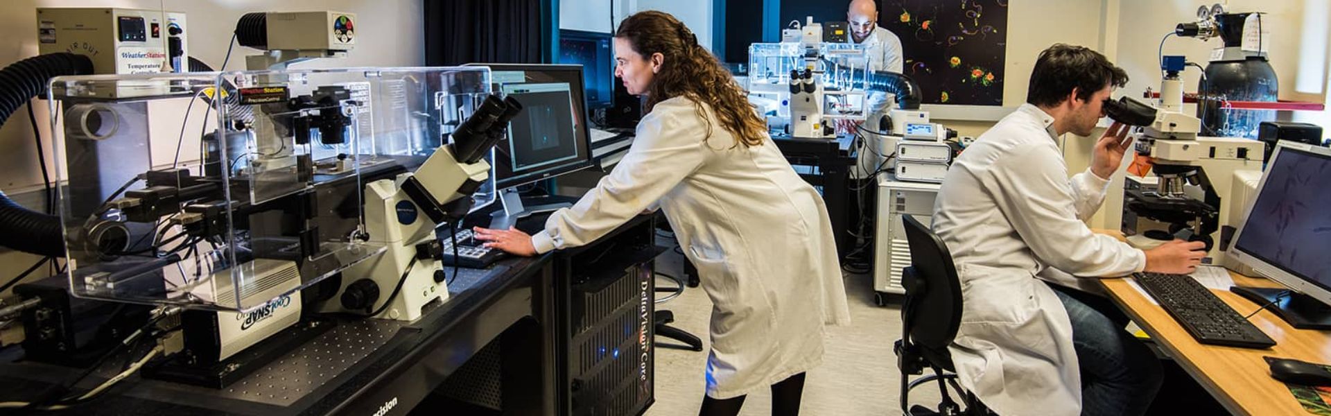 Technicians in the BLS labs