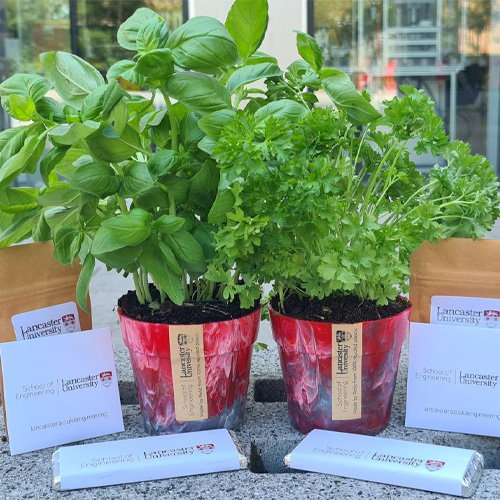 Two plant pots sat on a bench, surrounded by chocolate and seed packets.