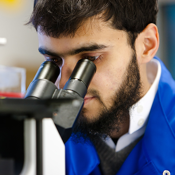 A student looks into a microscope in a laboratory