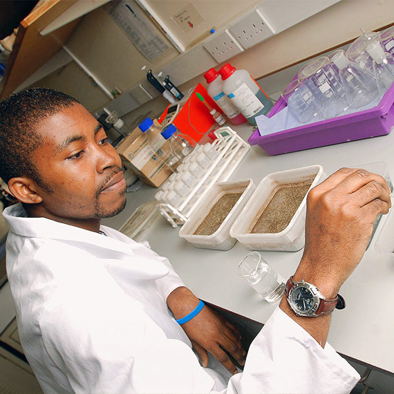 At work in a laboratory