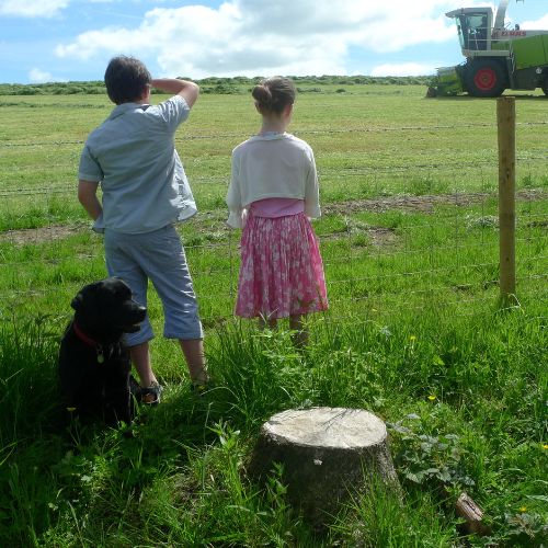 Two children stood watching a tractor