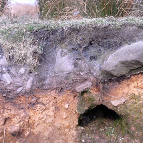 Different layers of soil