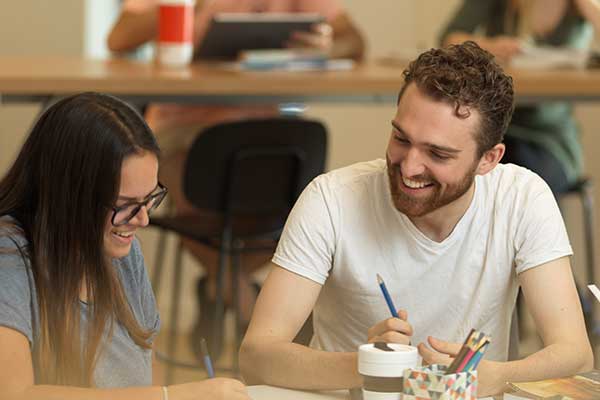 Two students working together