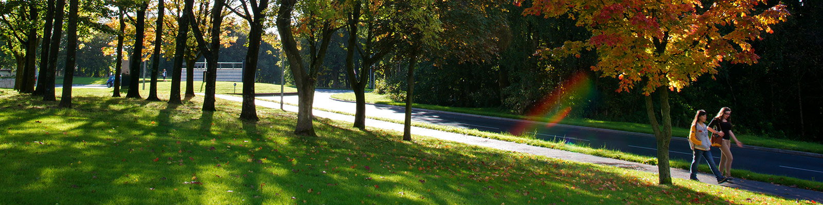 Online students on a Lancaster University residential