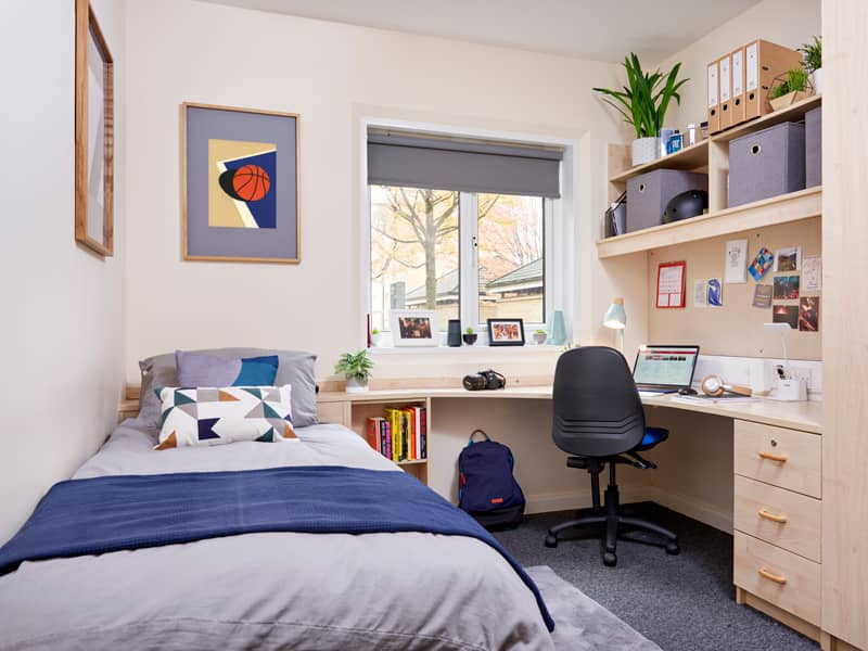 Global Summer School students cheering