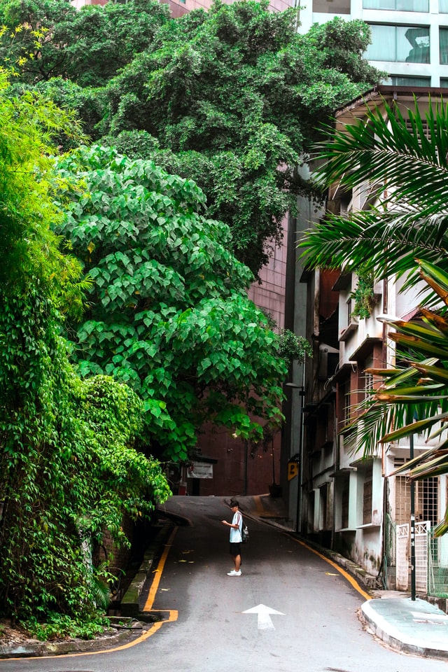 A busy Hong Kong street at night, full of pedestrians, buses and neon signs