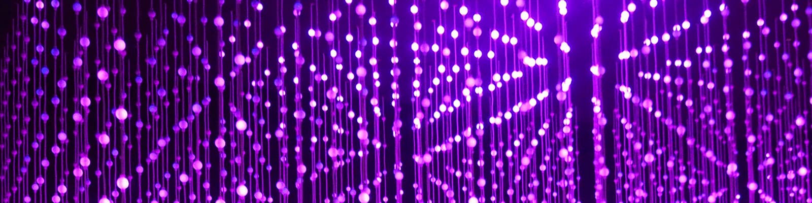 purple fairy lights in vertical rows
