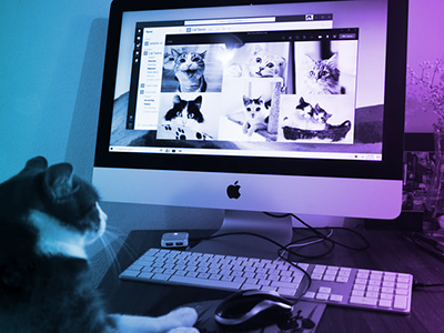 Large AppleMac computer.